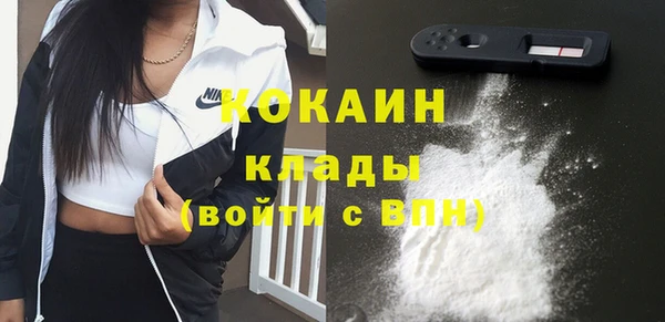 стафф Алзамай