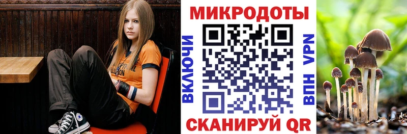 Галлюциногенные грибы Psilocybe kraken сайт Лесозаводск